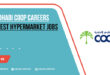 Abu Dhabi Coop Careers